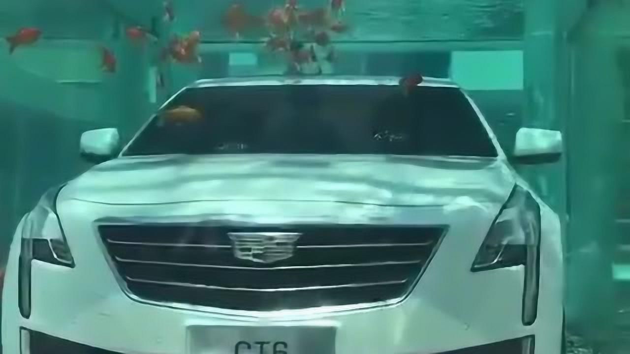 {網上賭場}(2018凯迪拉克追高铁是真的吗)