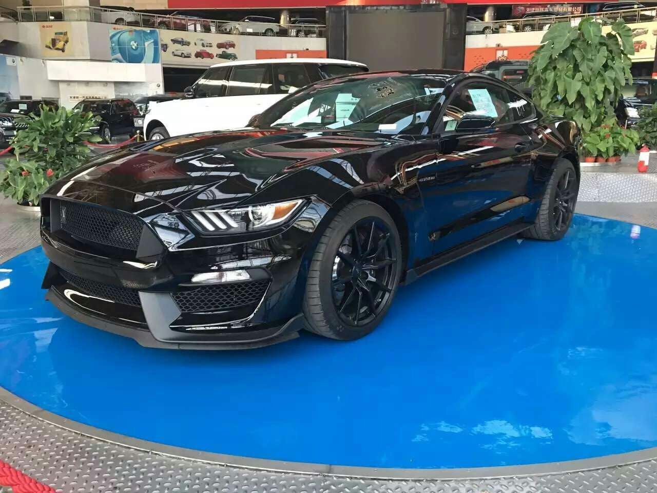 {網上賭場}(野马gt500眼镜蛇多少钱)